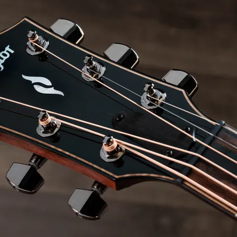 2024年の新アコースティックギター | Taylor Guitars